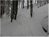 Tržič - Planina Zgornja Konjščica